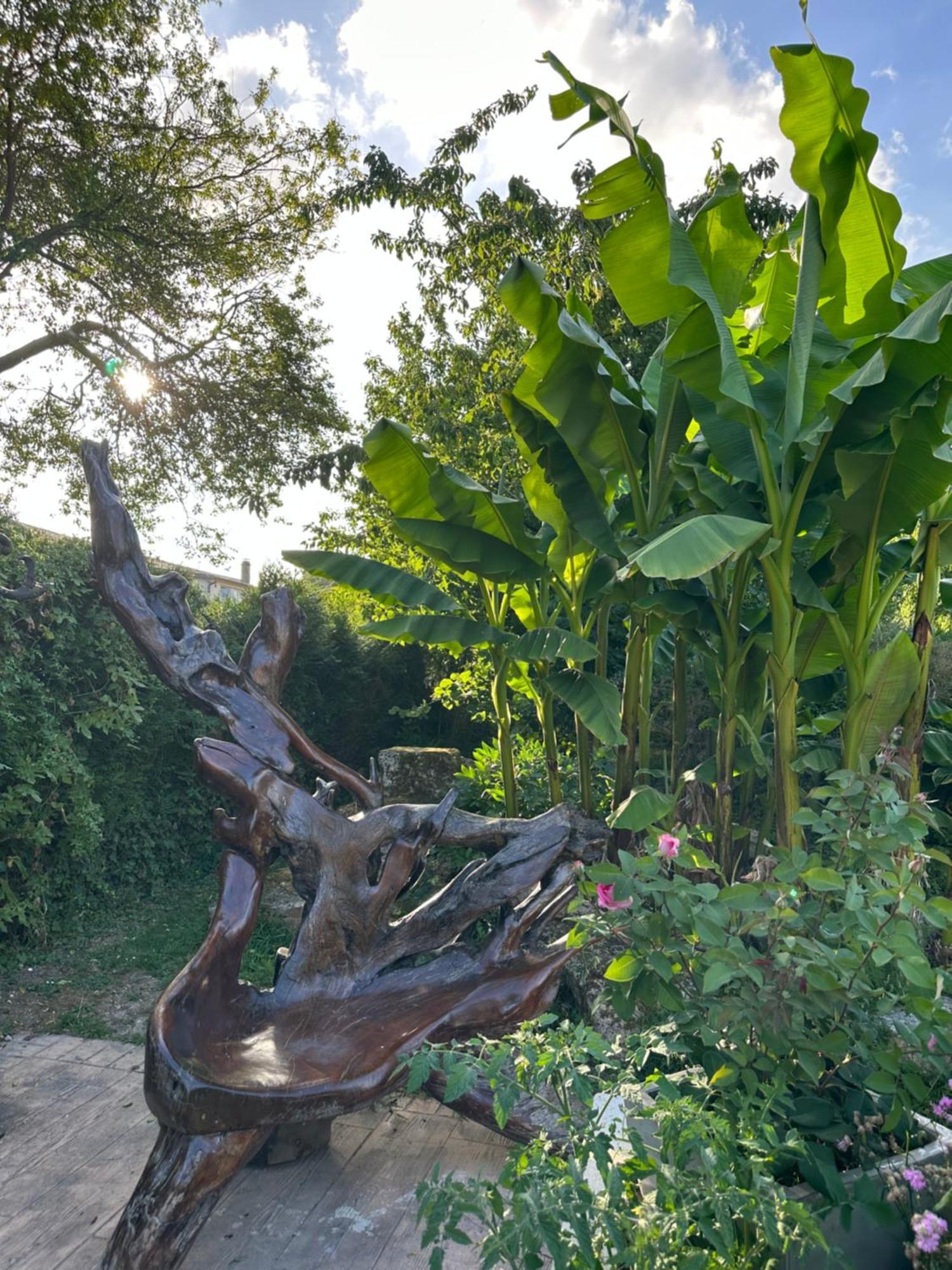 Le Temps D'Un Reve Bed & Breakfast Ravenel Ngoại thất bức ảnh